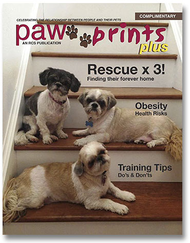 articles on paw preference highlight magazine